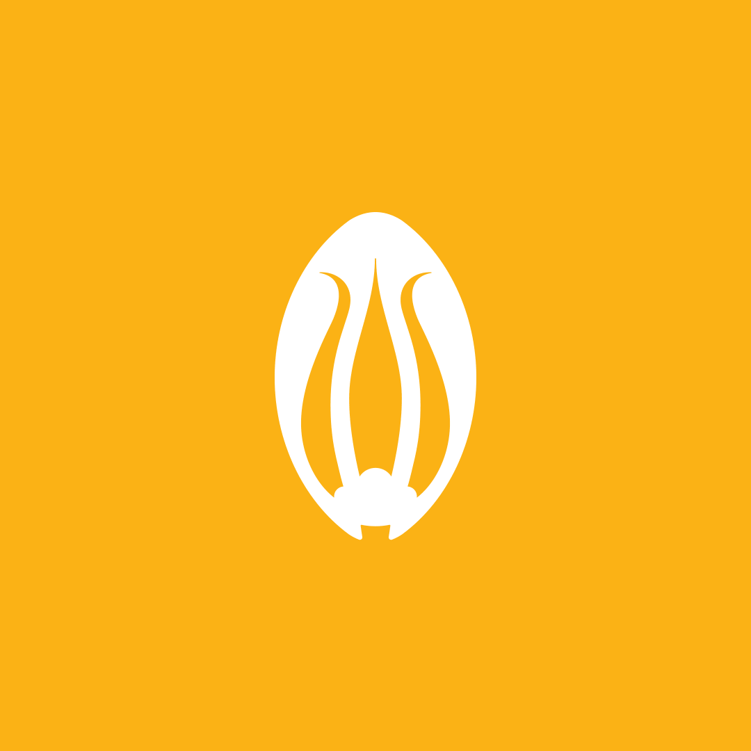 Image module