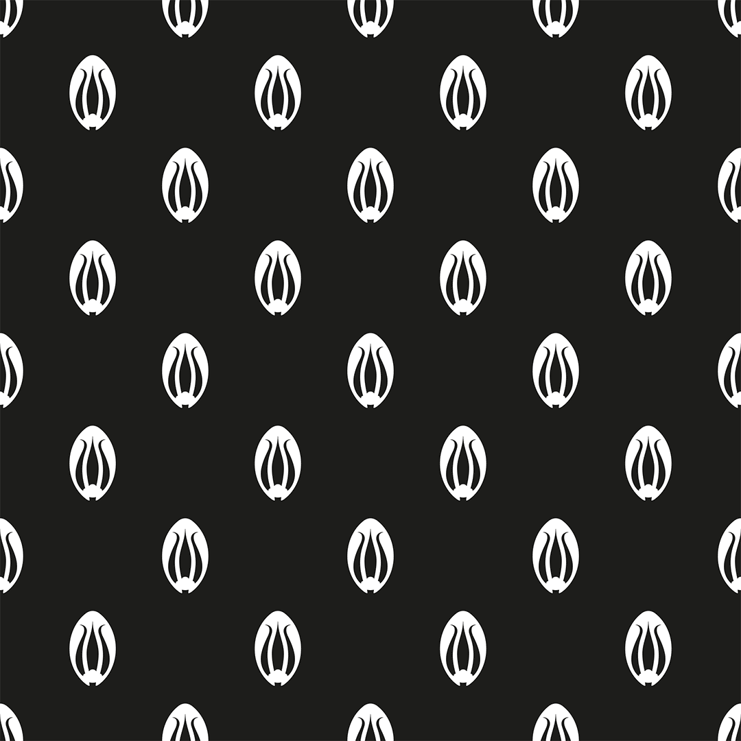 Image module