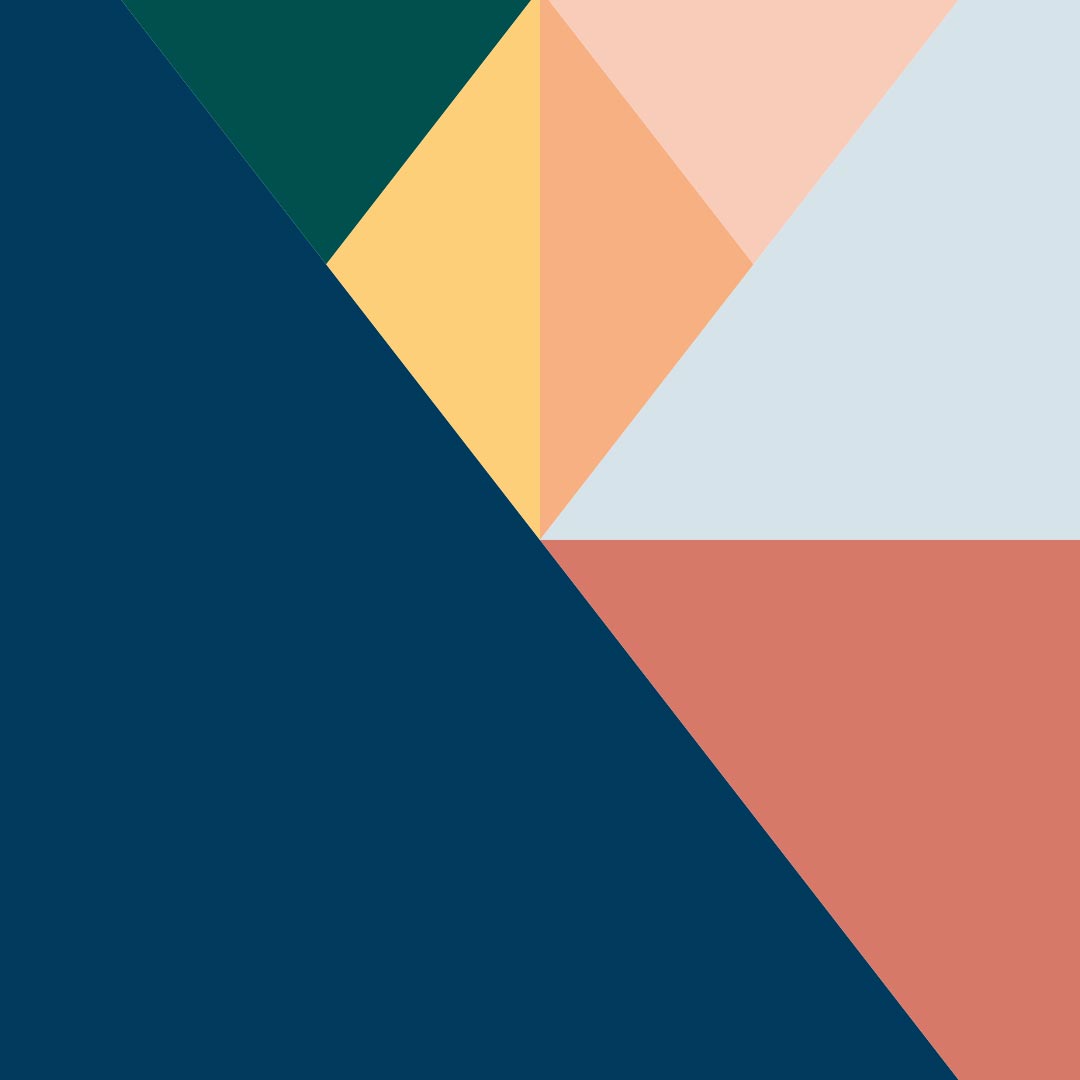 Image module